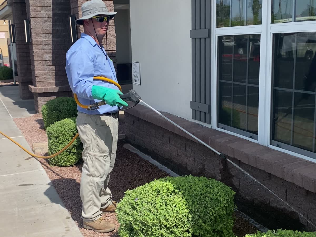 Peterson Pest Management technician treating the exterior perimeter along a building foundation